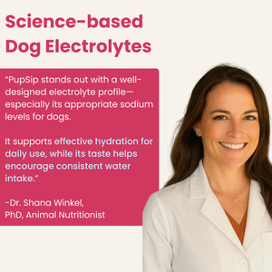 Berry Boost-Dog Electrolytes