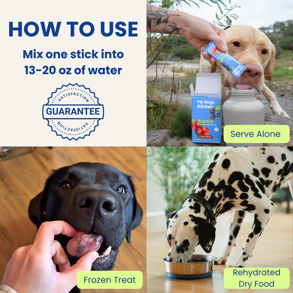 Instructions on how to use PupSip