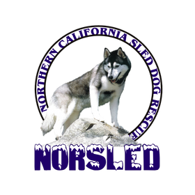 Husky dog on a rock with 'Northern California Sled Dog Rescue' text around it.