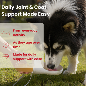Moo Faster-Joint Mobility and Skin & Coat Health