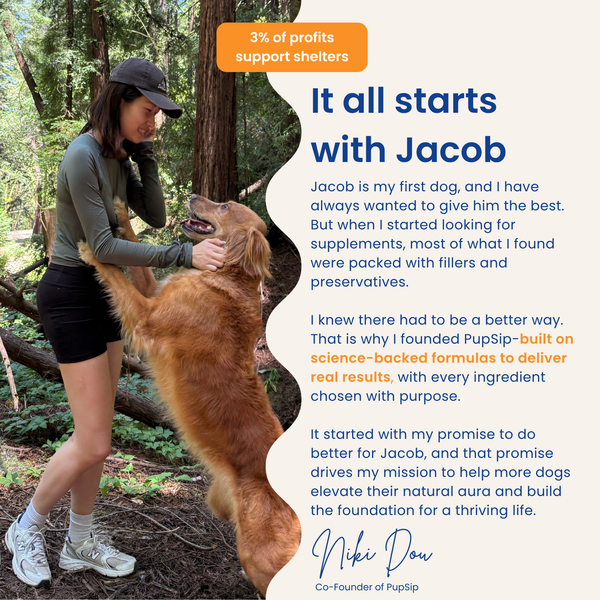 Mushroom Bloom- Hydration & Recovery Support