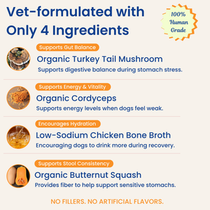 Mushroom Bloom- Hydration & Recovery Support