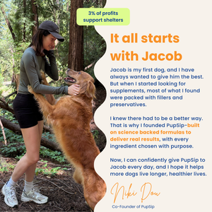 Natural Electrolytes — Berry Boost Dog Hydration Support