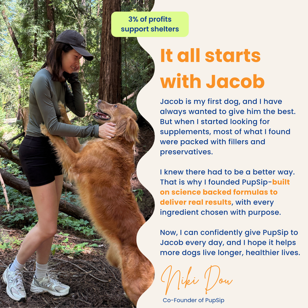 Natural Electrolytes — Berry Boost Dog Hydration Support