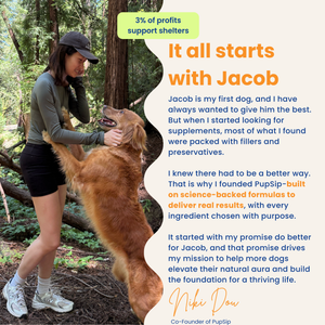 Mushroom Bloom-Immune Support & Digestive Wellness