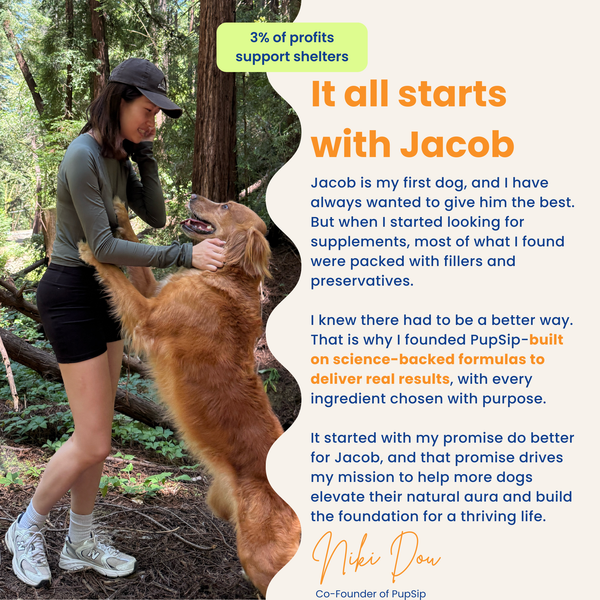 Mushroom Bloom-Immune Support & Digestive Wellness