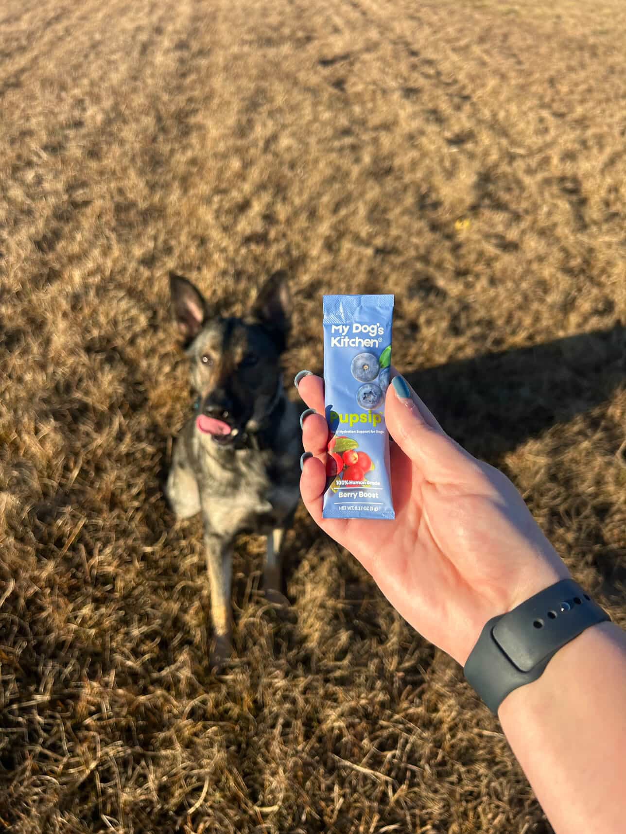 PupSip has been a lifesaver for my working dog. I love that the ingredients are so clean, it feels like a healthy, tasty way to get him to drink more water