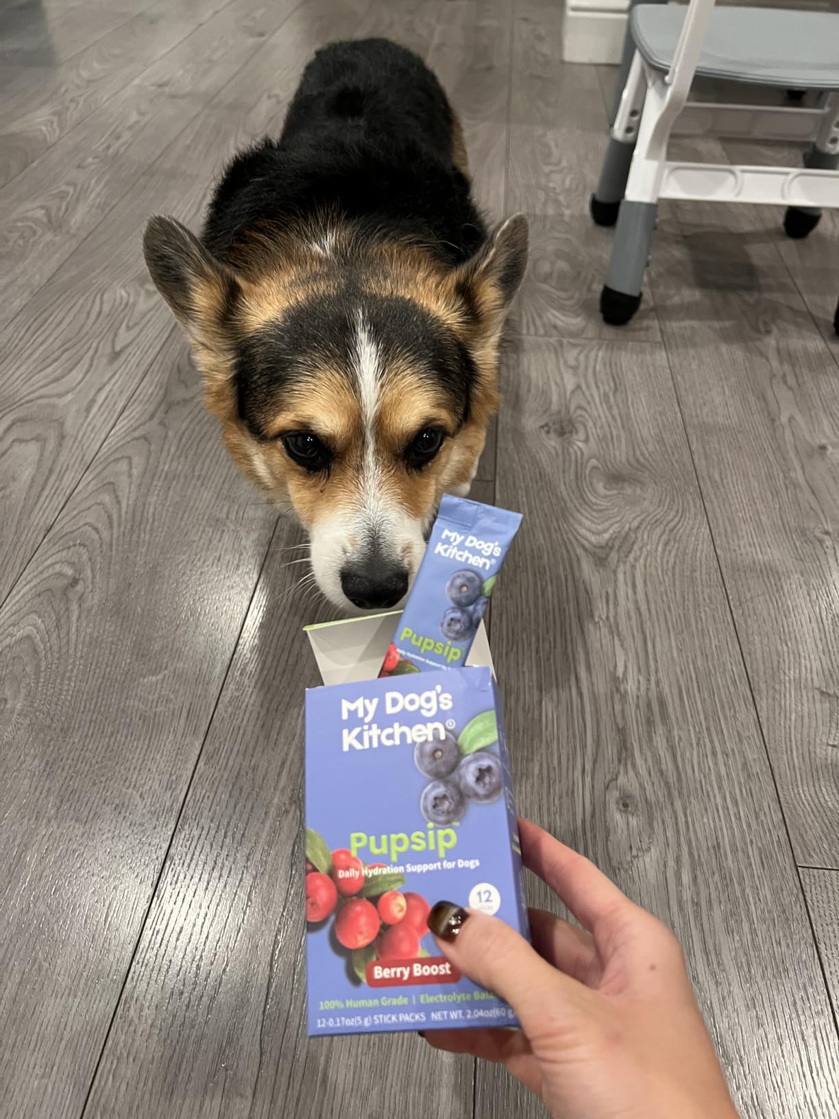 PupSip helped our dog when she was on bed rest and refused to drink water with her meds (that made her loopy) but we added this and she drank it up. She LOVED the taste.