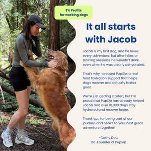 PupSip's brand story 
