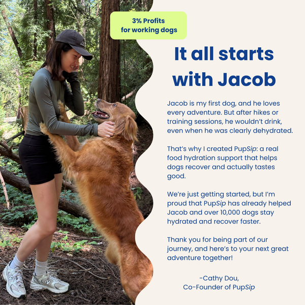 PupSip's brand story 