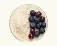 PupSip is made with blueberry powder 