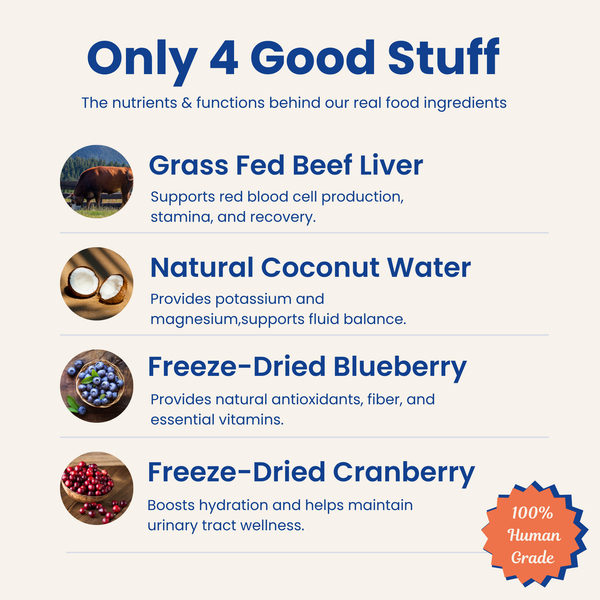 List of PupSip 4 real food ingredients with their benefits on a white background