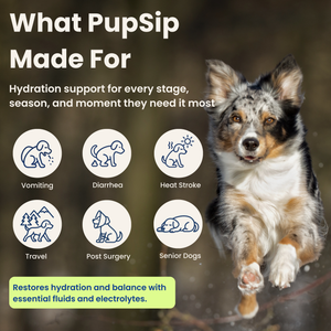 Dog with PupSip product features and benefits on a dark background