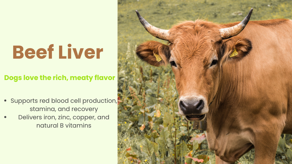 photo of a brown cow beside text ‘Beef Liver—dogs love the rich, meaty flavor; supports red blood cell production and delivers iron, zinc, copper, B vitamins
