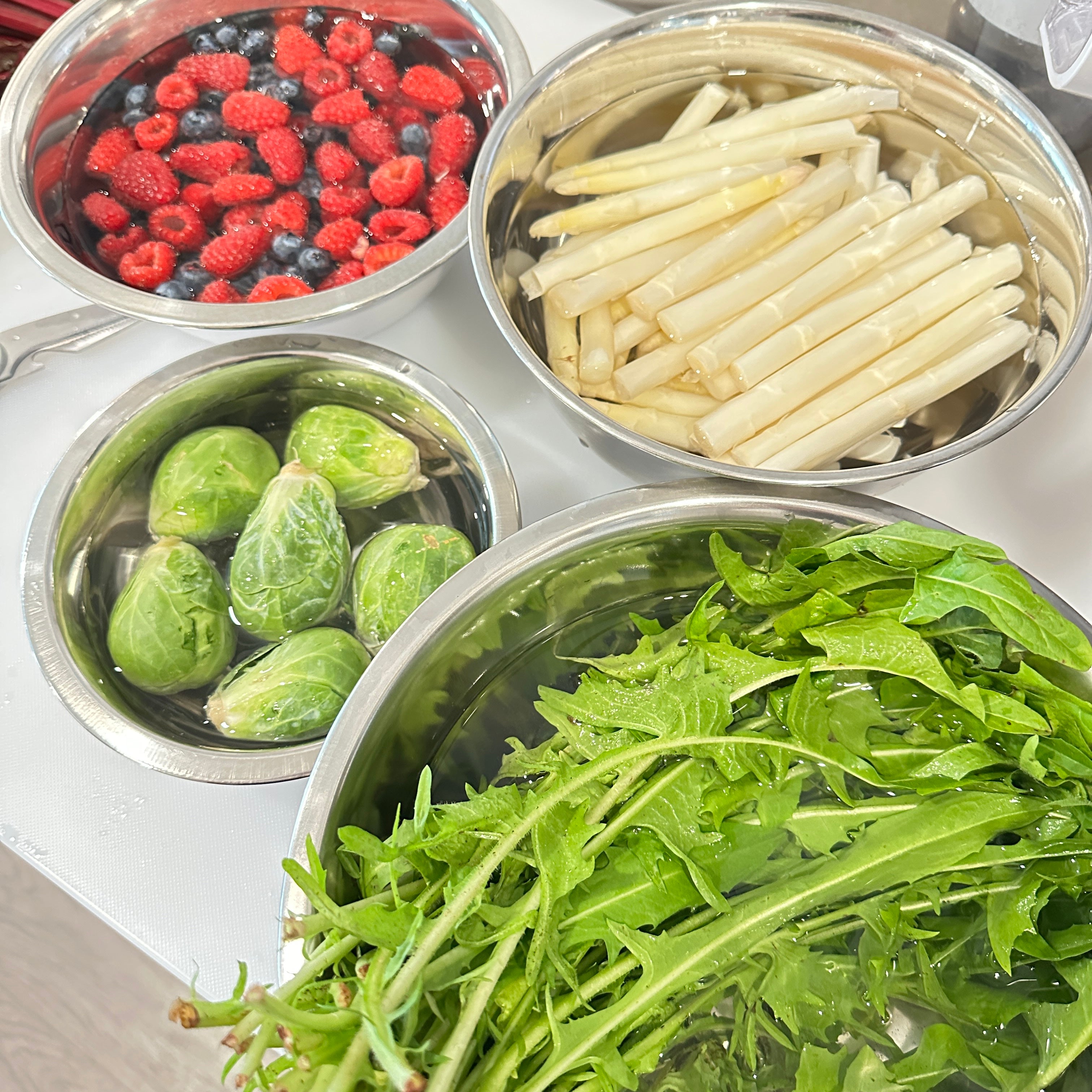 Dog drinking PupSip Berry Boost from a portable bowl on a forest trail—illustrates outdoor hydration for active dogs.