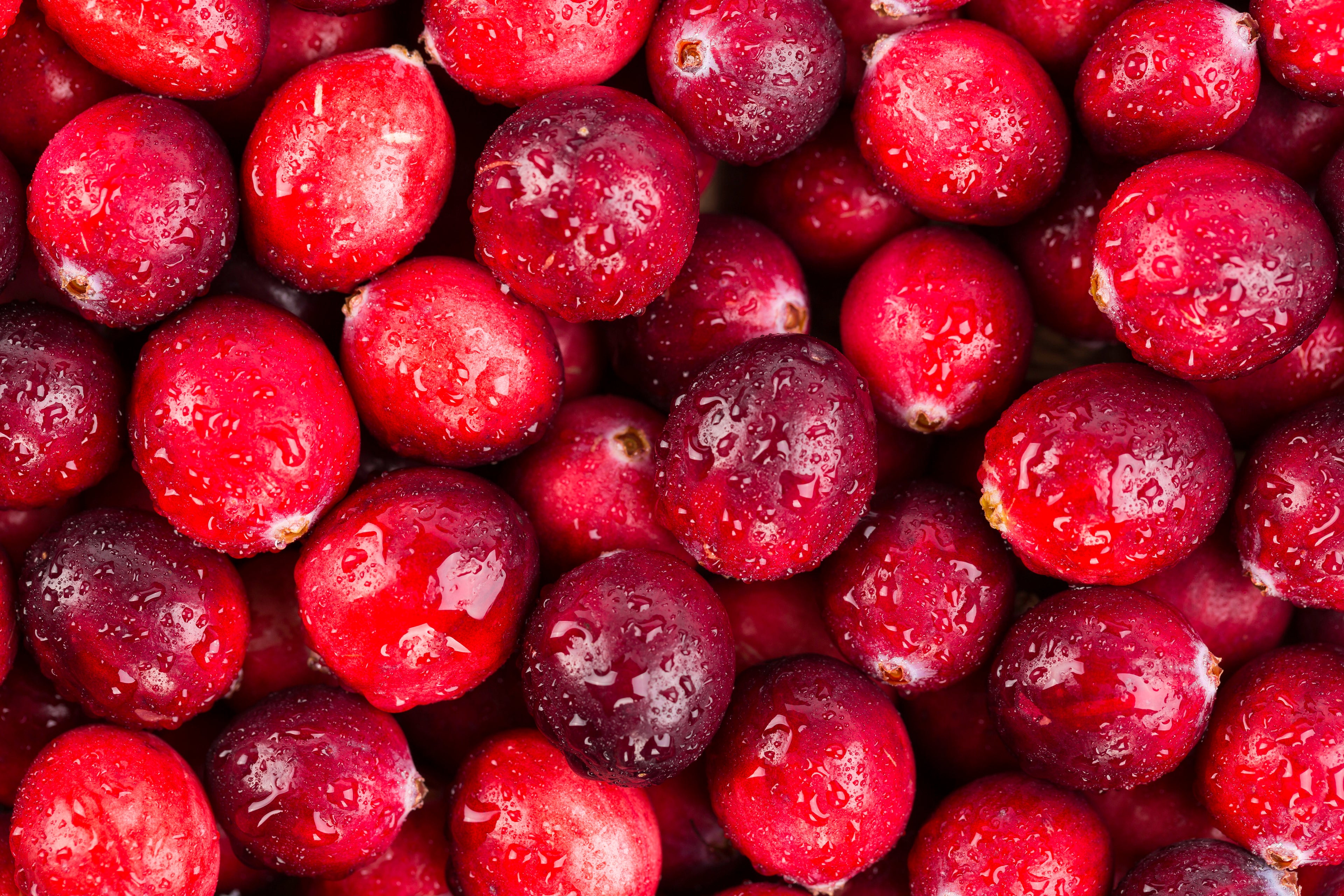 Close-up of fresh, whole cranberries with water droplets, showcasing their vibrant red color and natural texture, an ingredient used in PupSip