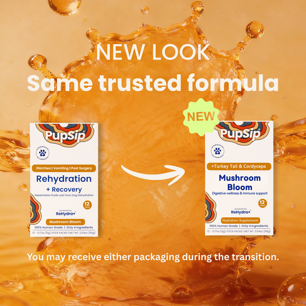 Mushroom Bloom-Digestive Wellness & Immune Support