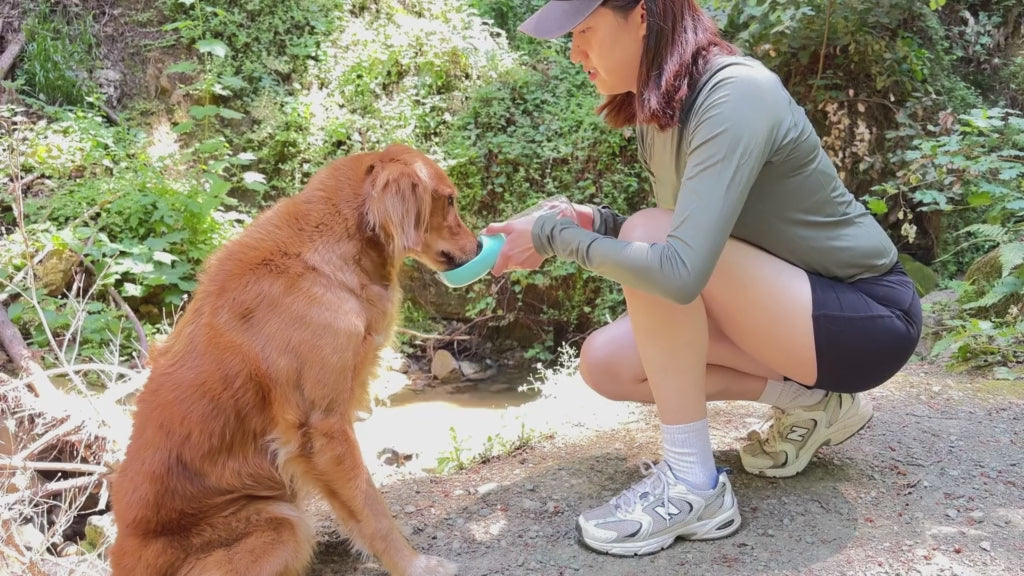 Short video: playful dog sprinting back to its owner, then eagerly drinking PupSip Berry Boost hydration mix from a portable bowl