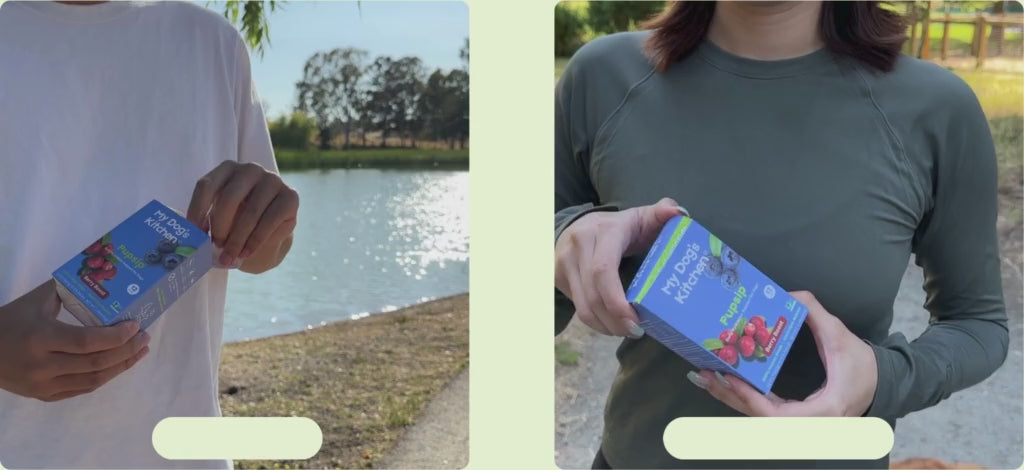 mixing PupSip Berry Boost powder into water and a happy dog eagerly lapping up the hydrating berry drink