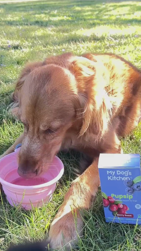 Jacob is drinking PupSip