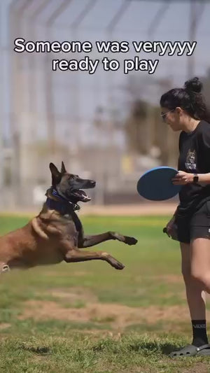 Berry Boost-Dog Electrolytes