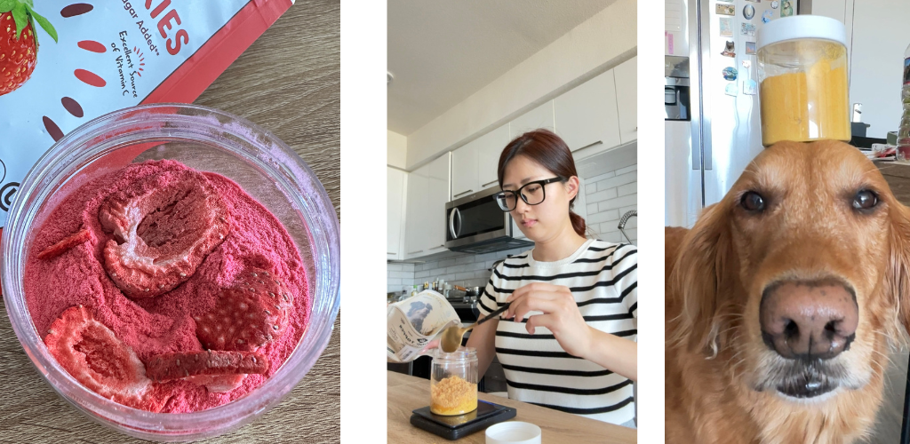 Wide banner graphic: playful summer scene with a happy dog beside a water bowl and bold text ‘Stay Hydrated with PupSip’—promotes PupSip Berry Boost pre-orders