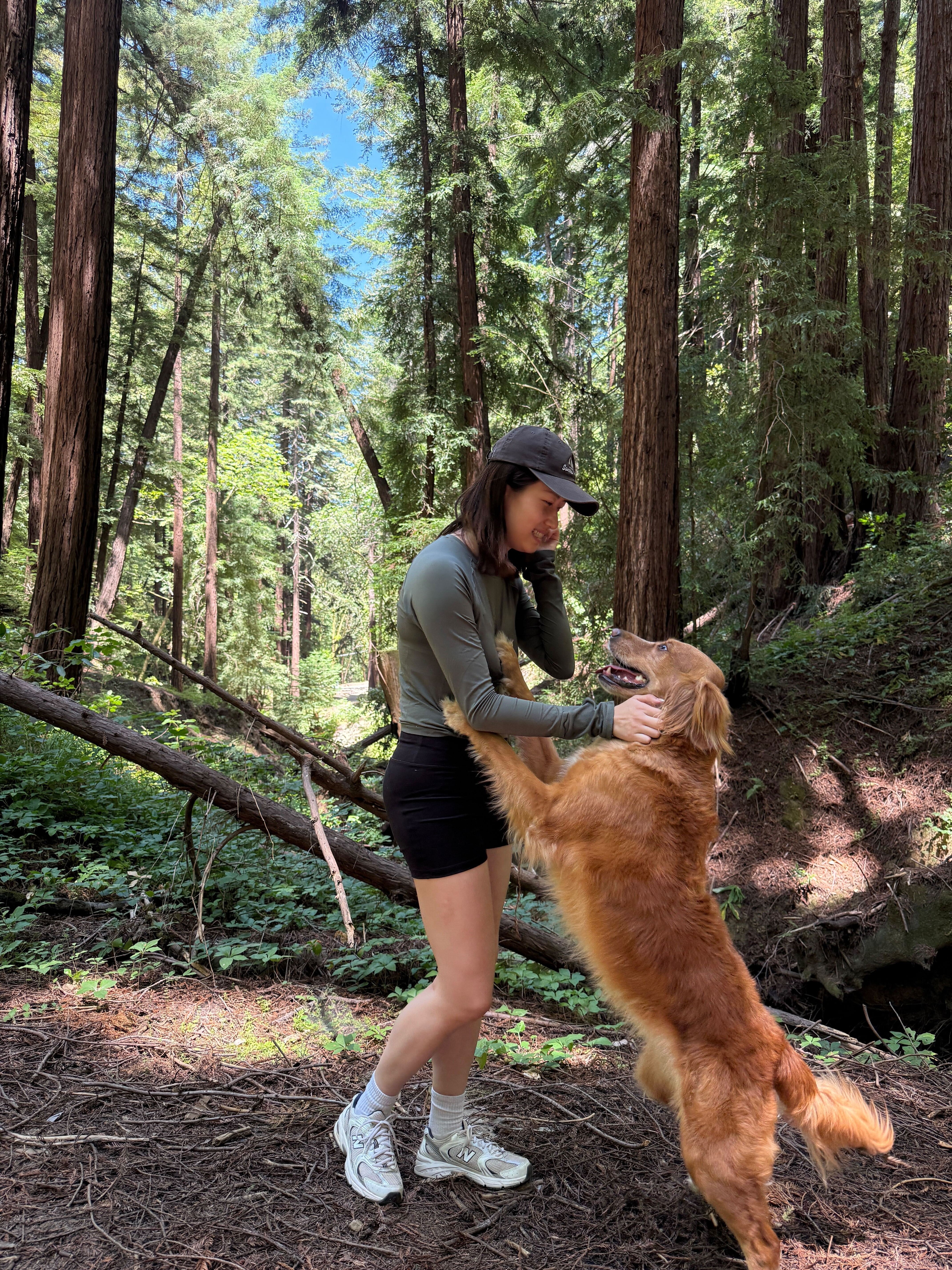 Woman in hiking attire hugging her golden retriever standing on hind legs among tall redwood trees on a forest trail—captures the bond and outdoor adventure PupSip supports